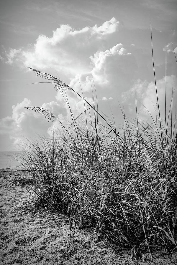 Sand Dunes Under the Clouds in Black and White Photograph by Debra and Dave Vanderlaan