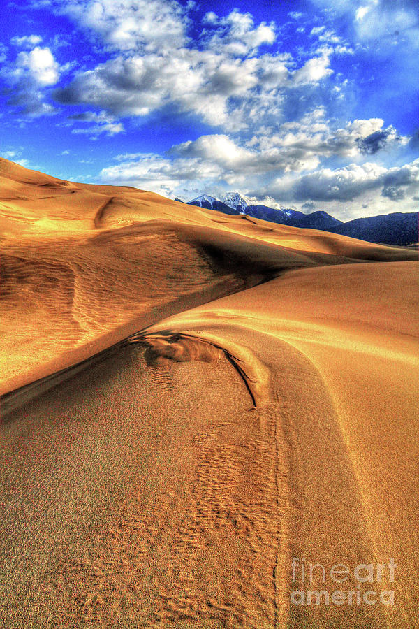 Sand Dunes Vertical Photograph