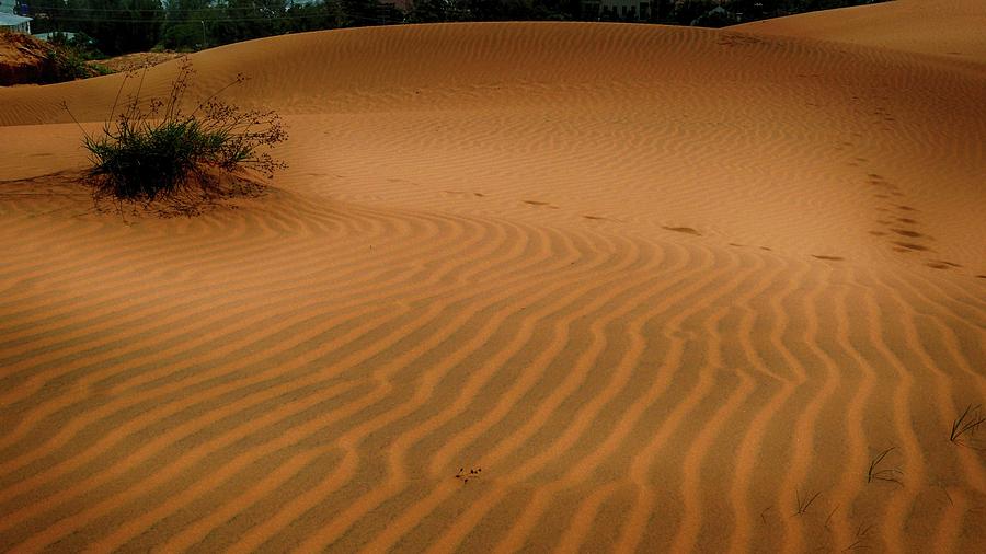 Sand dunes, Vietnam 4 Photograph by Robert Bociaga