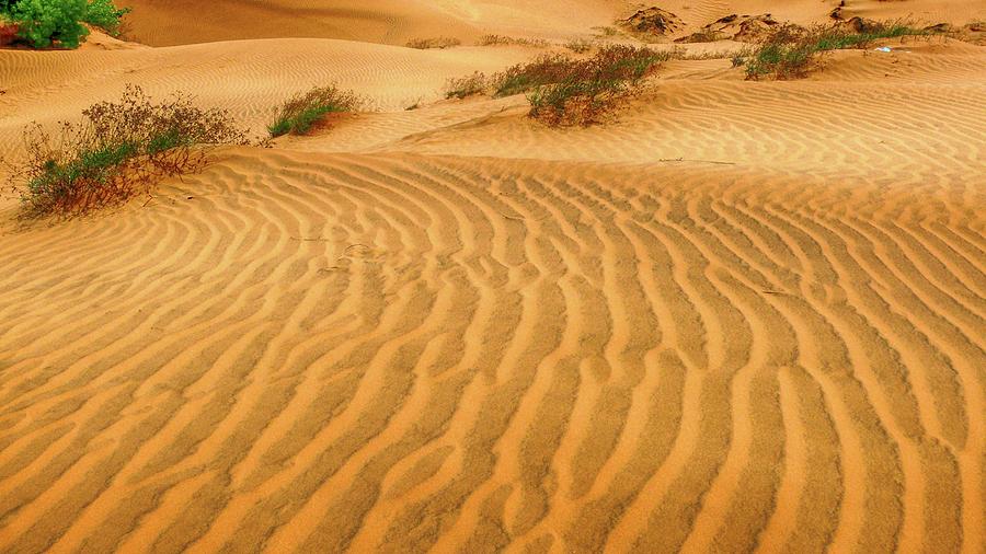 Sand dunes, Vietnam 5 Photograph by Robert Bociaga