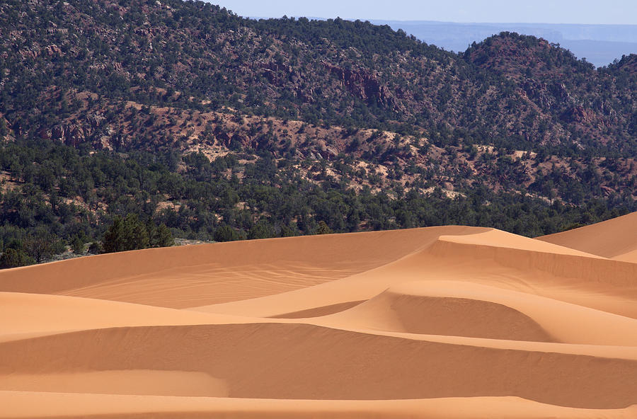 Sand dunes with mountains and sky beyond Photograph by Timothy Hearsum