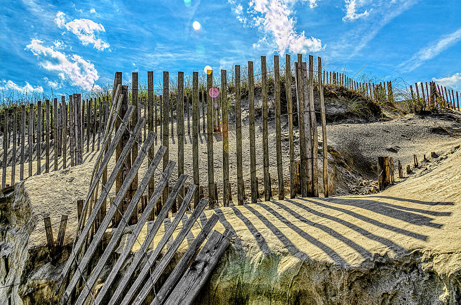 Sand Fence 2015 Photograph by Greg Reed
