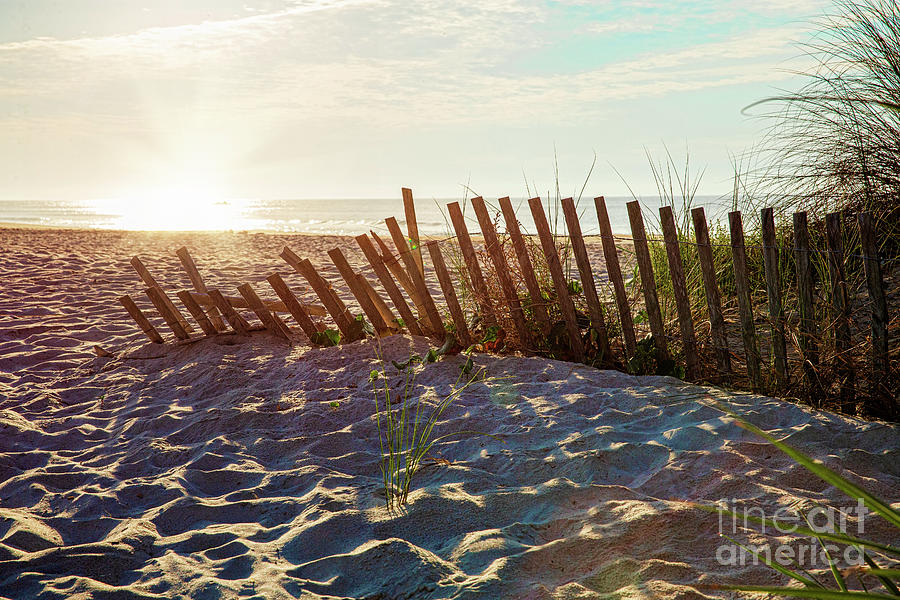 Sand Fence at Sunrise  Photograph by Laurinda Bowling