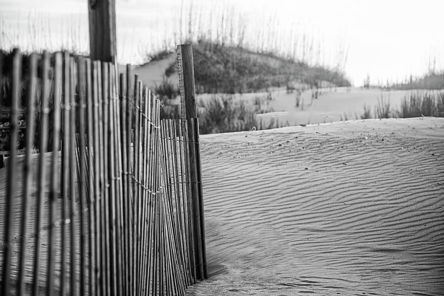 Black And White Photograph - Sand Fence in the Dunes - Crystal Coast of NC by Bob Decker