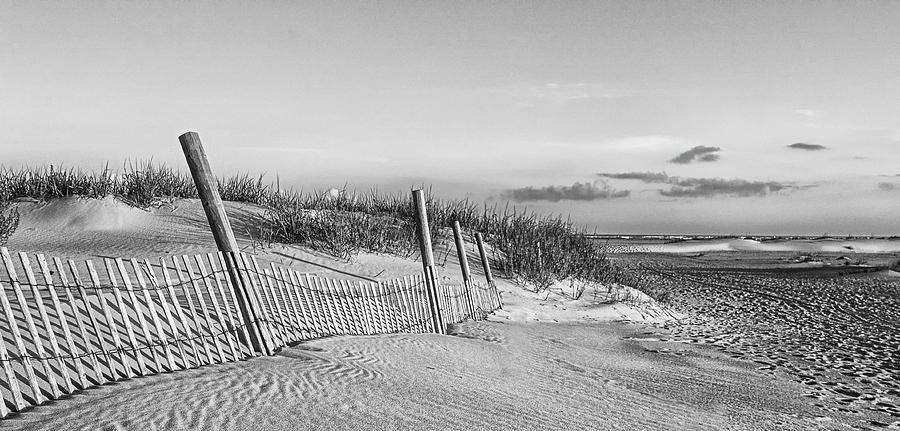 Sand Fence on the Beach at Emearld Isle North Carolina Photograph by Bob Decker