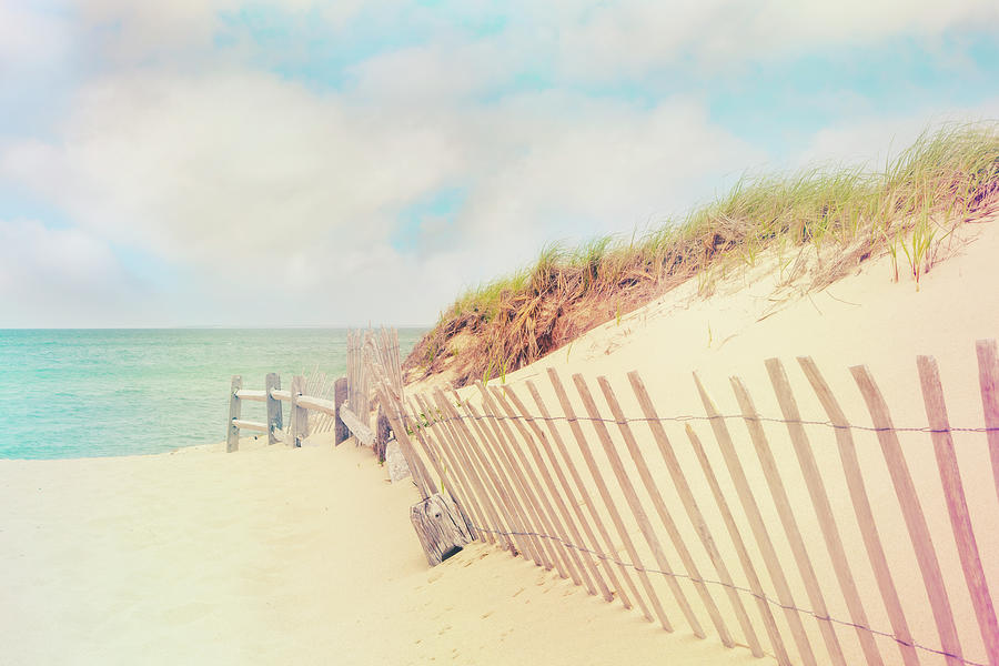 Sand Fence to the Beach  Photograph by Brooke T Ryan