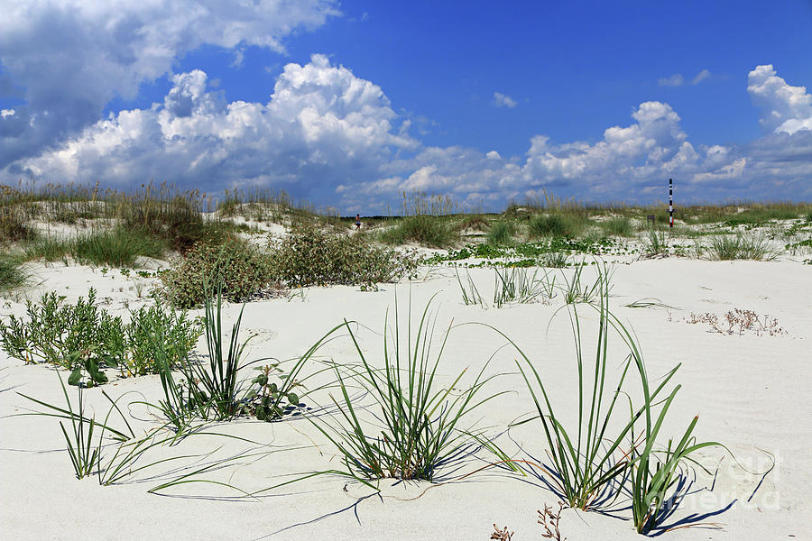 Sand, Grass and Sky Photograph by Mary Haber