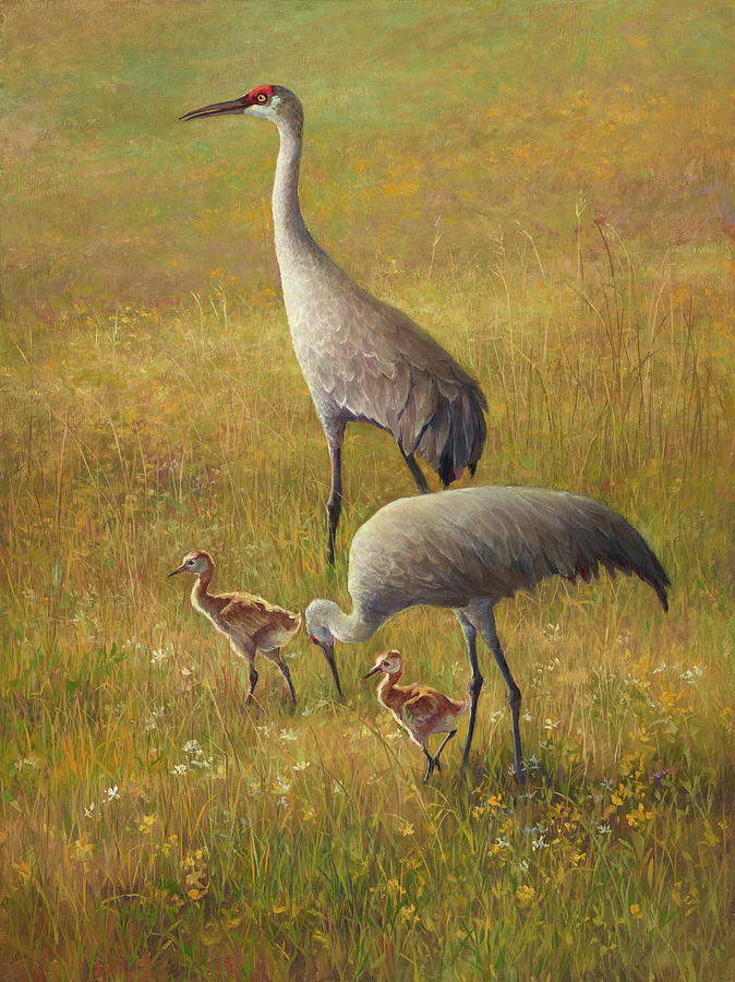 Wildlife Painting - Sand Hill Crane, Golden Hour by Laurie Snow Hein