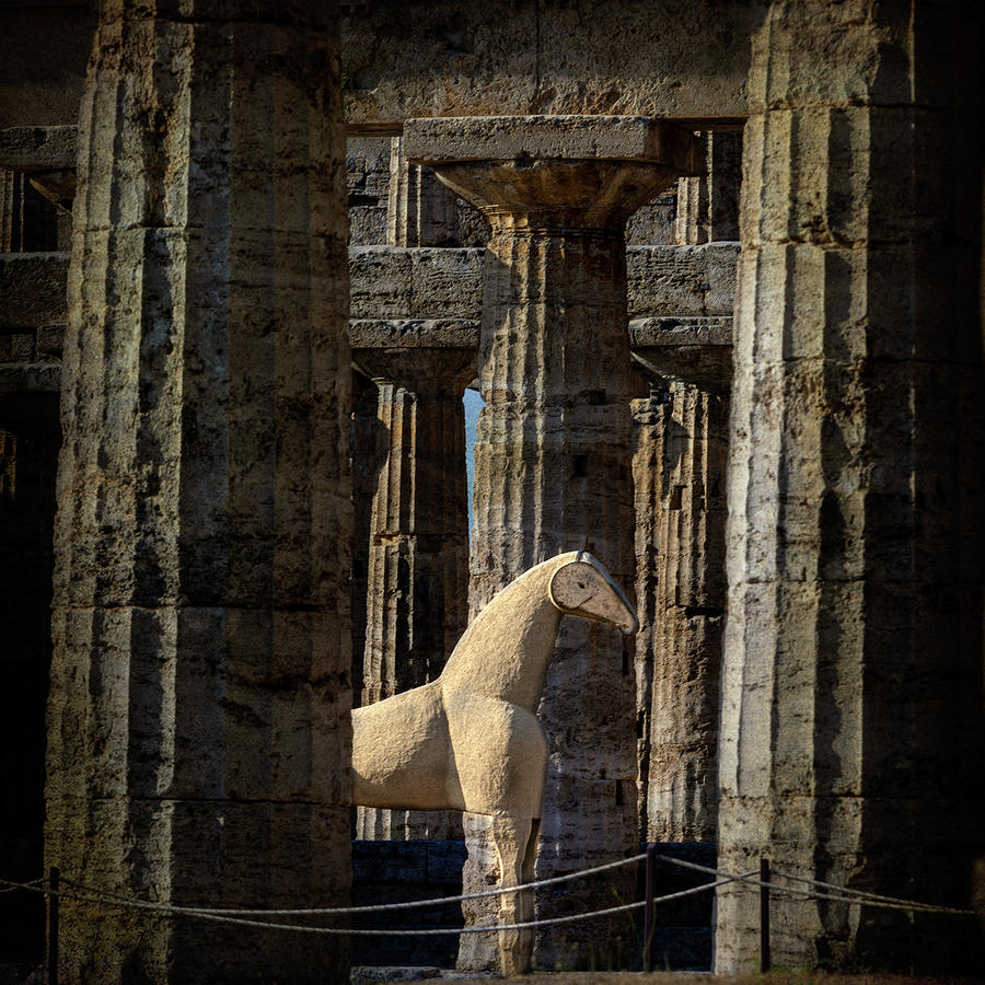 Sand Horse of Paestum Photograph by Mark Gomez