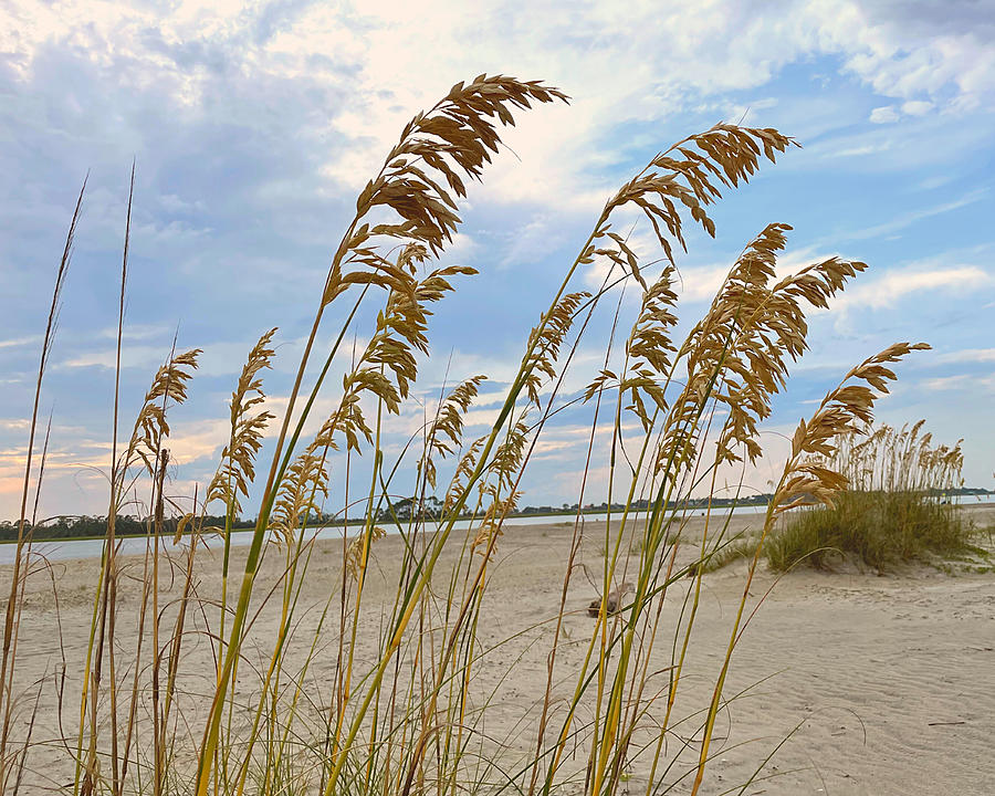 Sand of Tybee Photograph by Lee Darnell