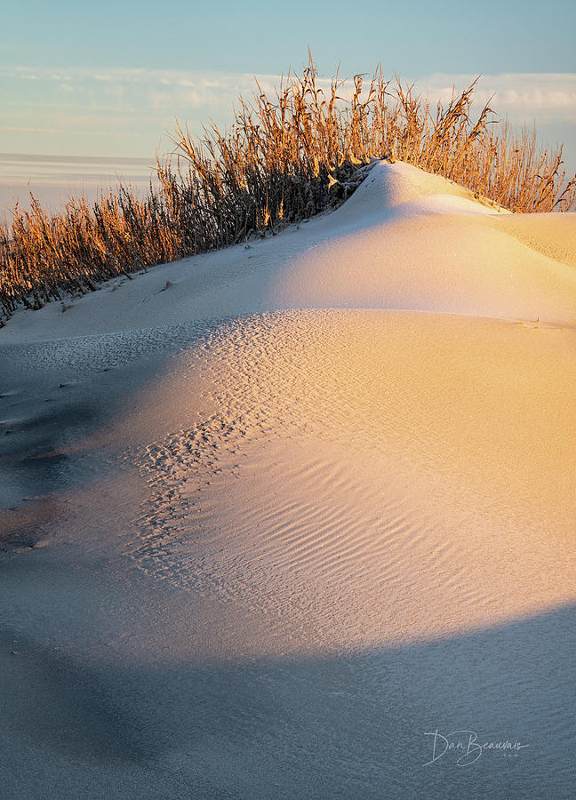 Sand on Snow on Sand #8309 Photograph by Dan Beauvais