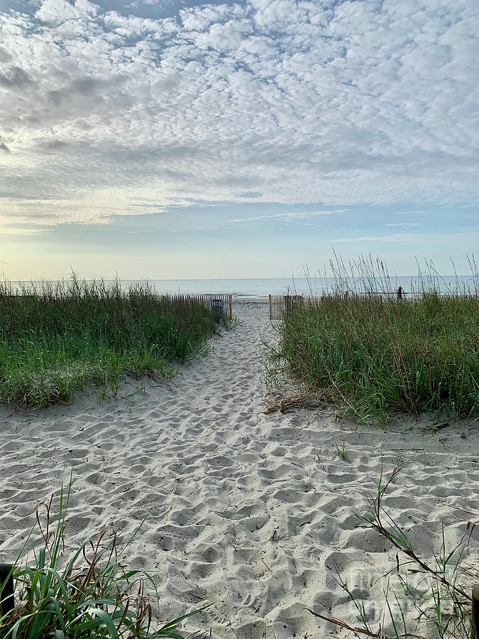 Sand Path Photograph by Tammy Carrick - Fine Art America