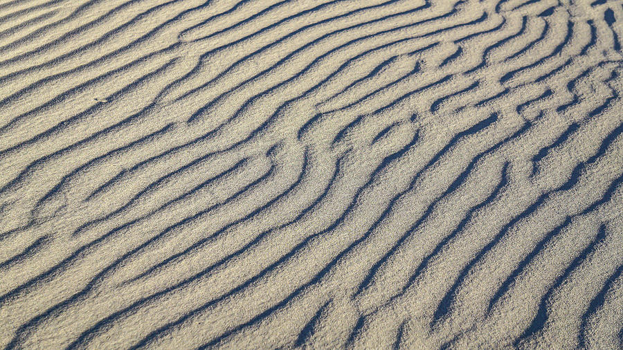 Sand Pattern Photograph by Brett Harvey