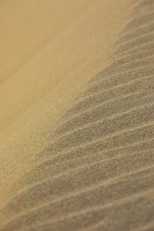 Sand Patterns 2 Photograph