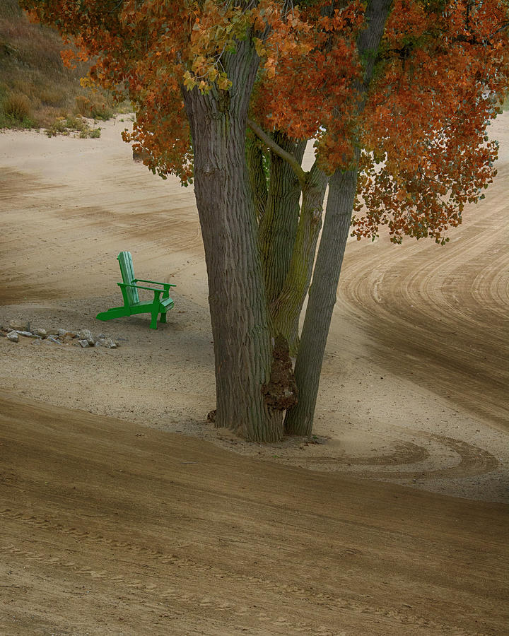 Sand Patterns, a Tree, and a Chair Photograph by Mitch Spence