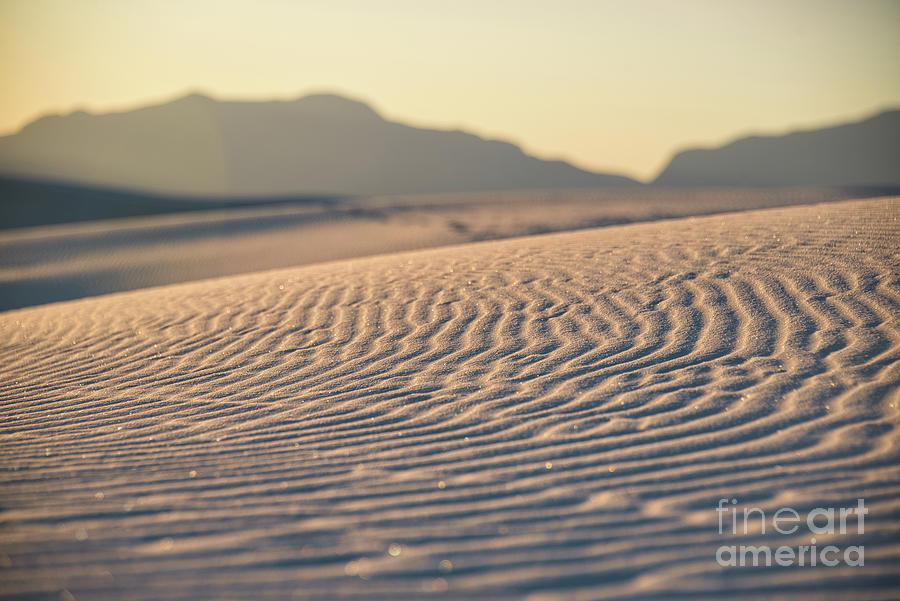Sand Patterns Photograph