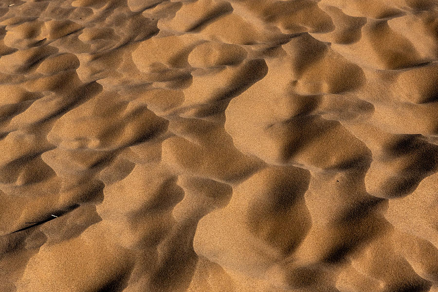 Sand patterns in the desert Photograph by Alessandra RC