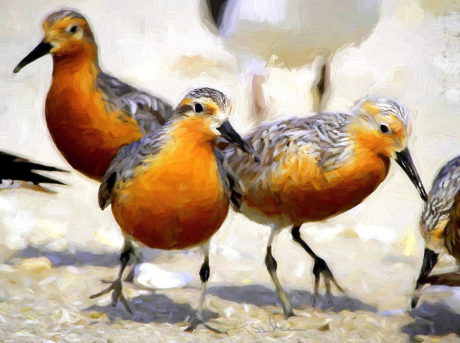 Sand Pipers Digital Art by Tom Sachse - Pixels