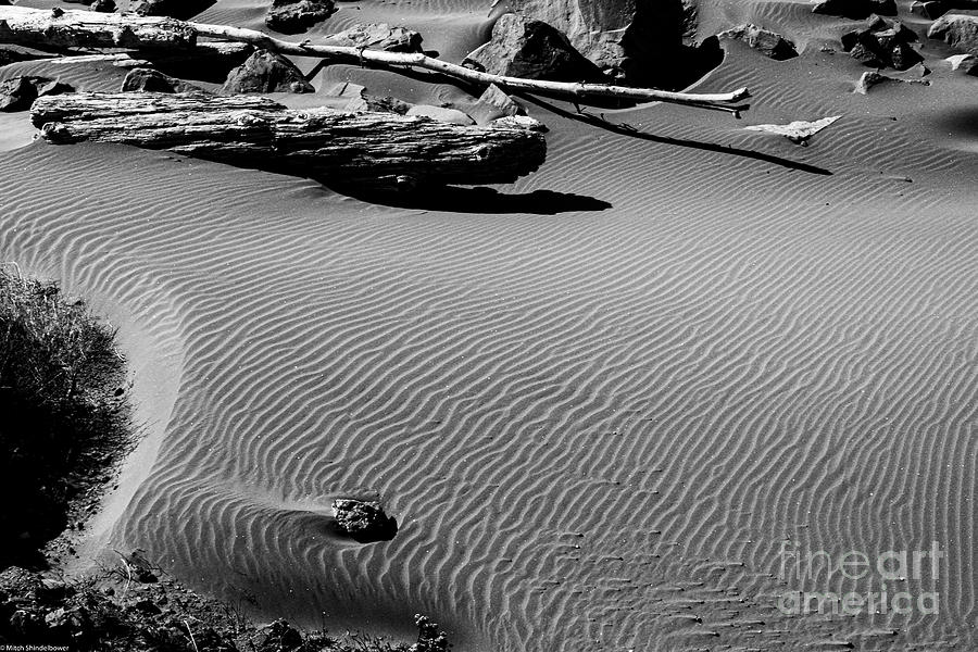 Sand Ripples Black And White Photograph