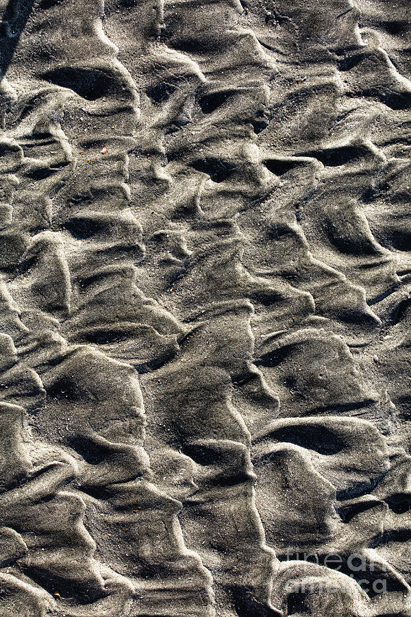 sand Series 1 Photograph by Richard Amble