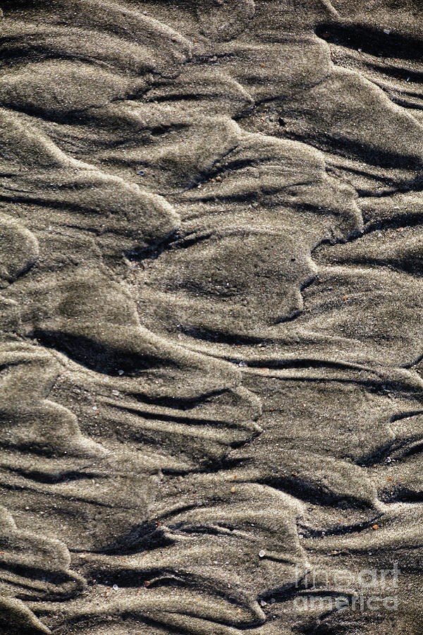Sand Series 4 Photograph by Richard Amble