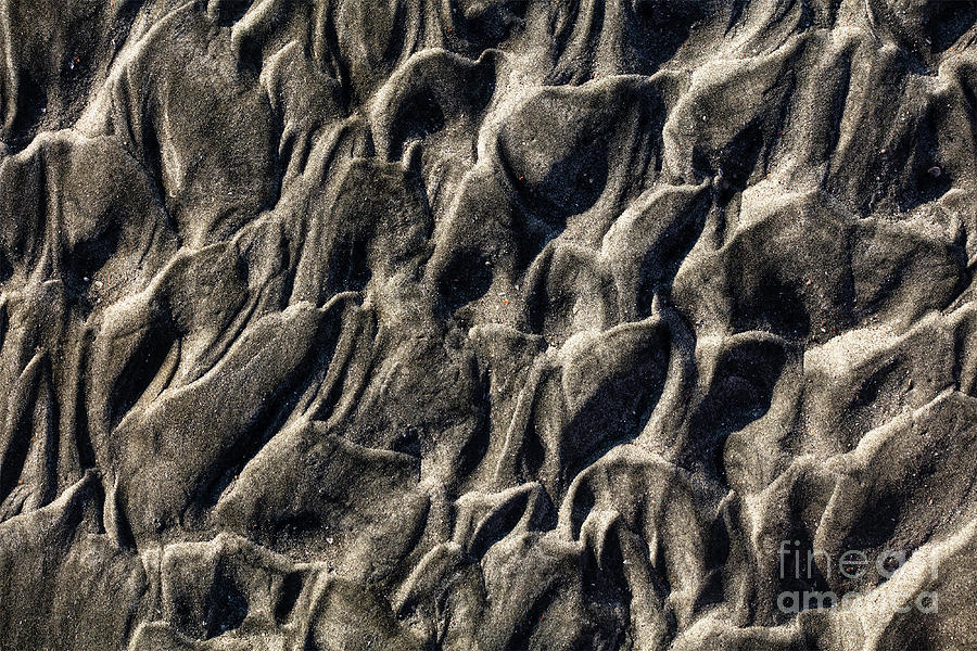 Sand Series 5 Photograph by Richard Amble