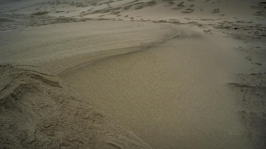 Sand Stories Photograph by Bill Posner