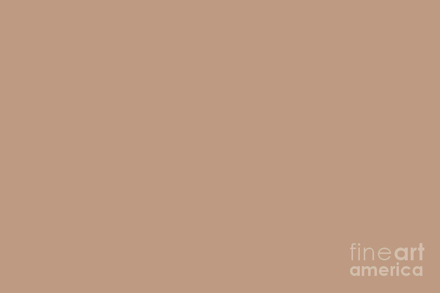 Sand Storm Beige Solid Color Pairs To Behr 2021 Color of the Year Canyon Dusk S210-4 Digital Art by PIPA Fine Art - Simply Solid