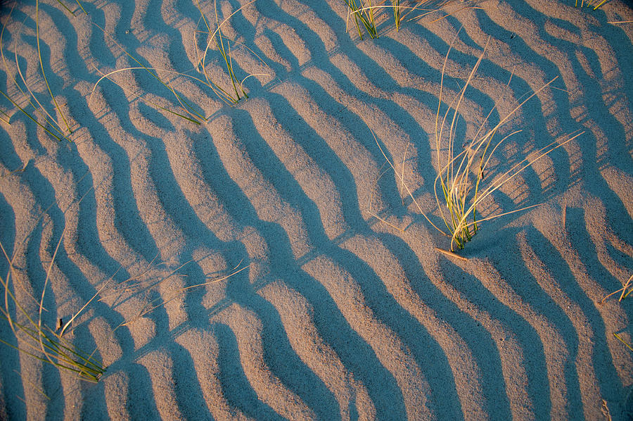 Sand Stripes Photograph