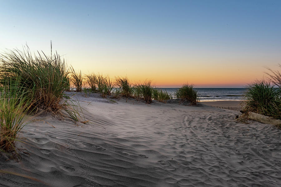 Sand Tones Photograph by Michelle K Brooks - Fine Art America