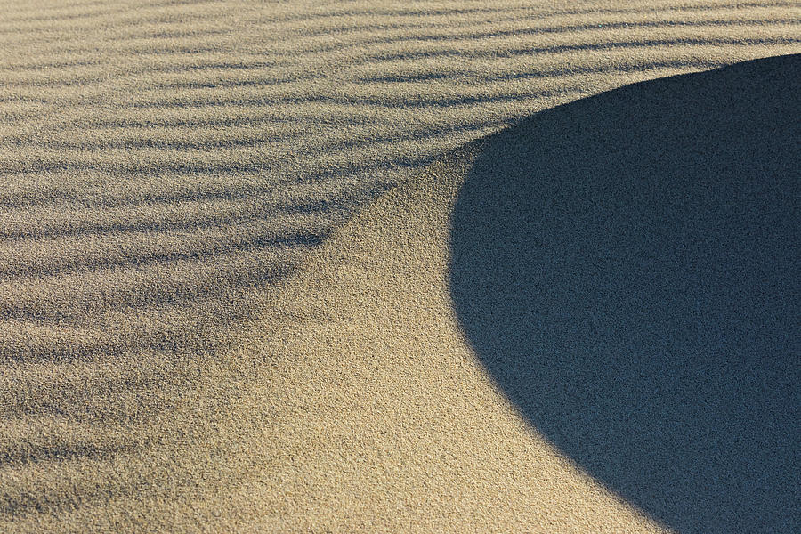 Sand Wave Photograph