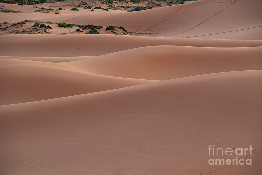 Coral Pink Sand Dunes Photograph - Sand Waves  F1043 by Stephen Parker