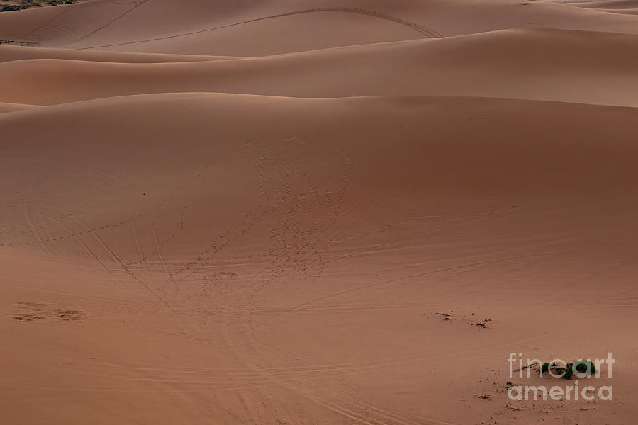 Coral Pink Sand Dunes Photograph - Sand Waves  F1045 by Stephen Parker