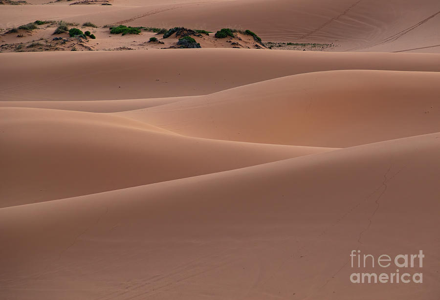 Coral Pink Sand Dunes Photograph - Sand Waves  F1048 by Stephen Parker