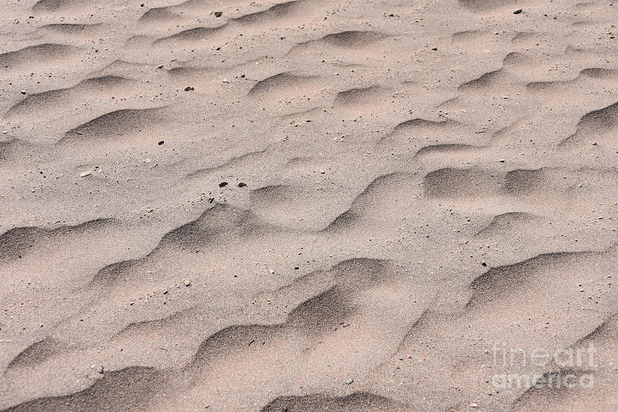 Sand Waves In Colorado Photograph