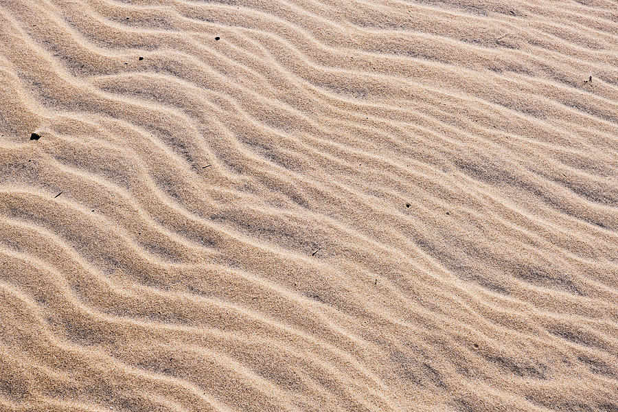 Sand Waves in the Dunes Photograph by Rose Guinther