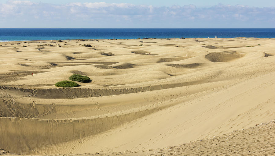 Sand Waves Photograph by Josu Ozkaritz