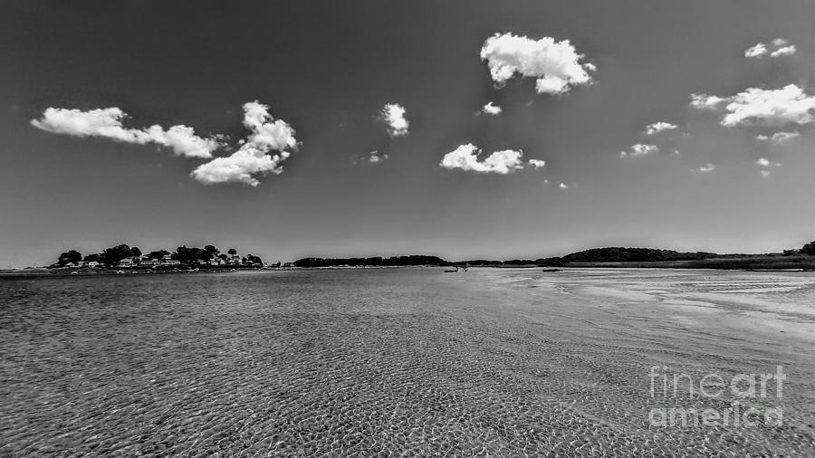 Sandbar Chillin Photograph by Dave Pellegrini