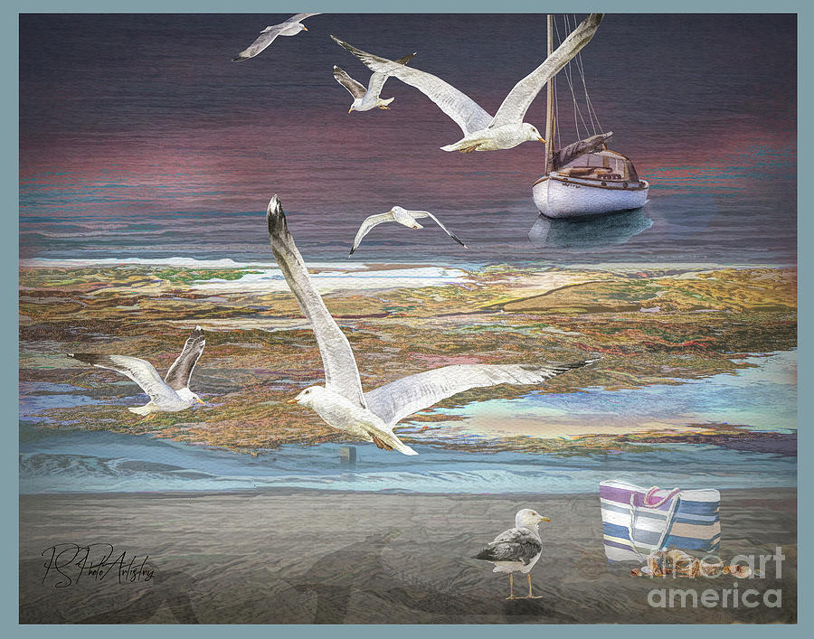 Sandbar with Gulls Digital Art by Deb Nakano