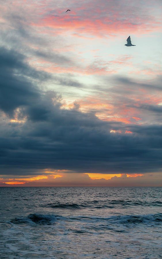 Sandbridge Beach Morning Photograph by Rachel Morrison