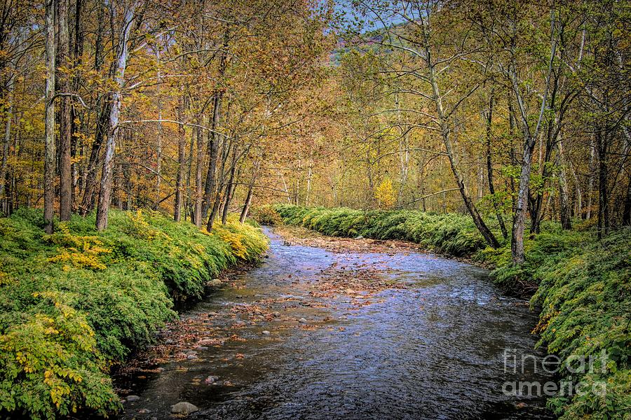 Sandburg Creek Photograph by Karen Silvestri Sandburg Creek Photograph by Karen Silvestri