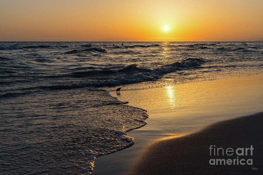 Sanderling Coastal Waves Sunset Photograph by Jennifer White