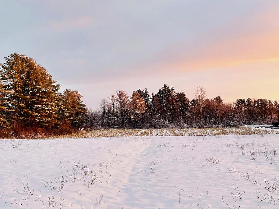 Sandford Fields Photograph by Rhonda J Flanagan - Fine Art America