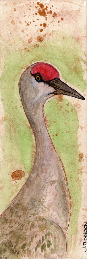 Sandhill Crane Painting By Jennifer Thoreson - Fine Art America