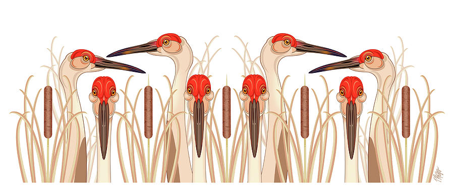Sandhill Crane Lookout Digital Art by Tim Phelps