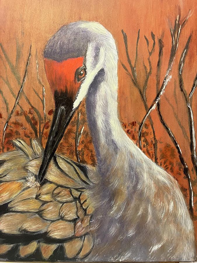 Sandhill Crane  Painting by Sharon Schultz