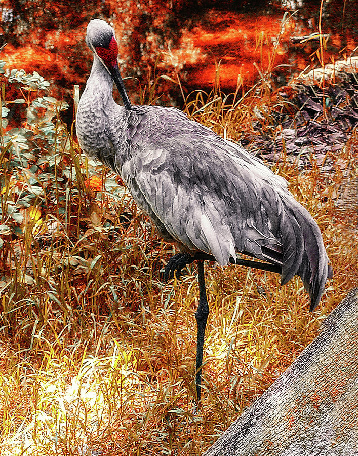 sandhill crane figurines