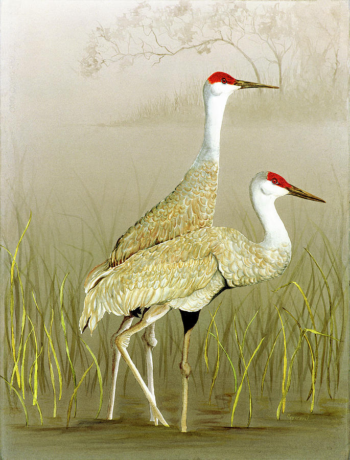 Sandhill Cranes Painting By Christine Reichow - Fine Art America