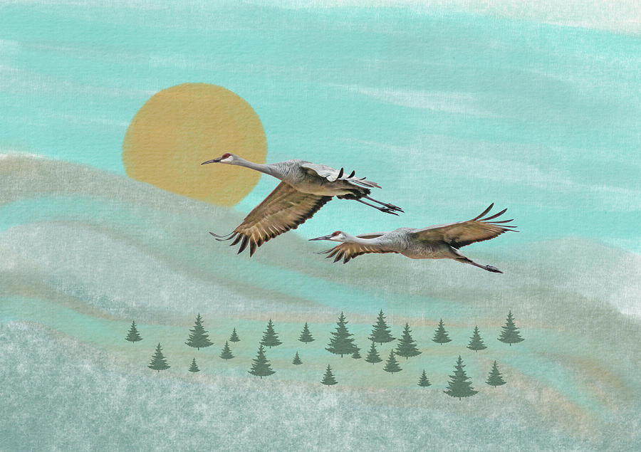 Sandhill Cranes in Flight Over Pine Forest on Canvas Background Photograph by Patti Deters