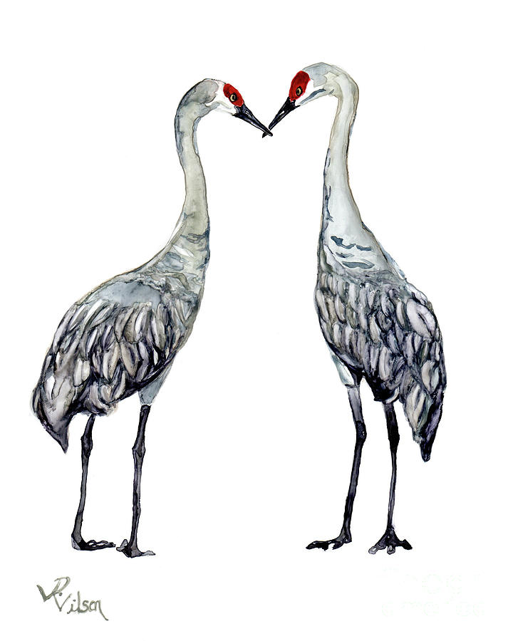 Animal Painting - Sandhill Cranes Kissing by D Renee Wilson